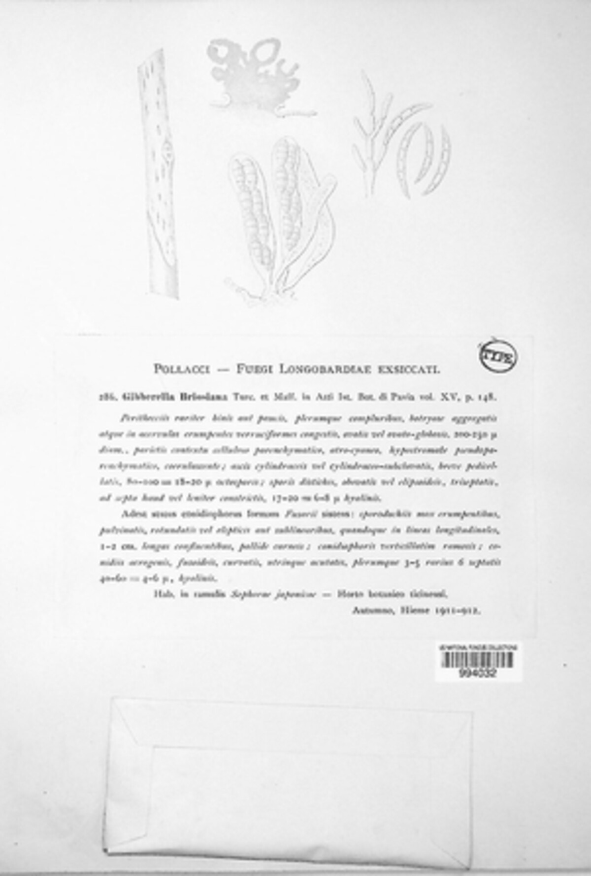 Botryosphaeria briosiana image